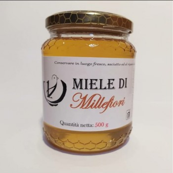 Miele di Millefiori Primaverile 500g